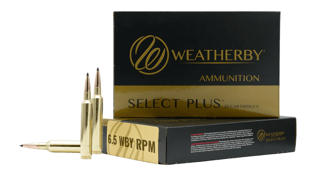 Wby Ammo 6.5rpm 156gr Eol 20/200
