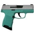 Sig Sauer P365 9mm 3.1in 10rd Nitron Silver Slide Tiffany Frame Optic Ready