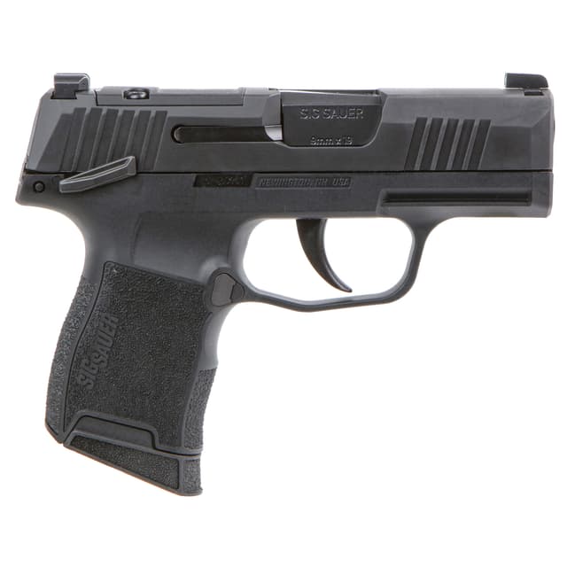 Sig Sauer, P365 Bxr Microcompact, 9mm, 3.1 inch, 10+1, Nitron Slide Stainless Frame