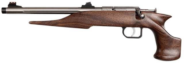 Chipmunk 40101 Hunter  Youth Frame 22 S/L/LR Single Shot 9" Threaded Stainless Steel Barrel, Walnut Frame, EZ Loader