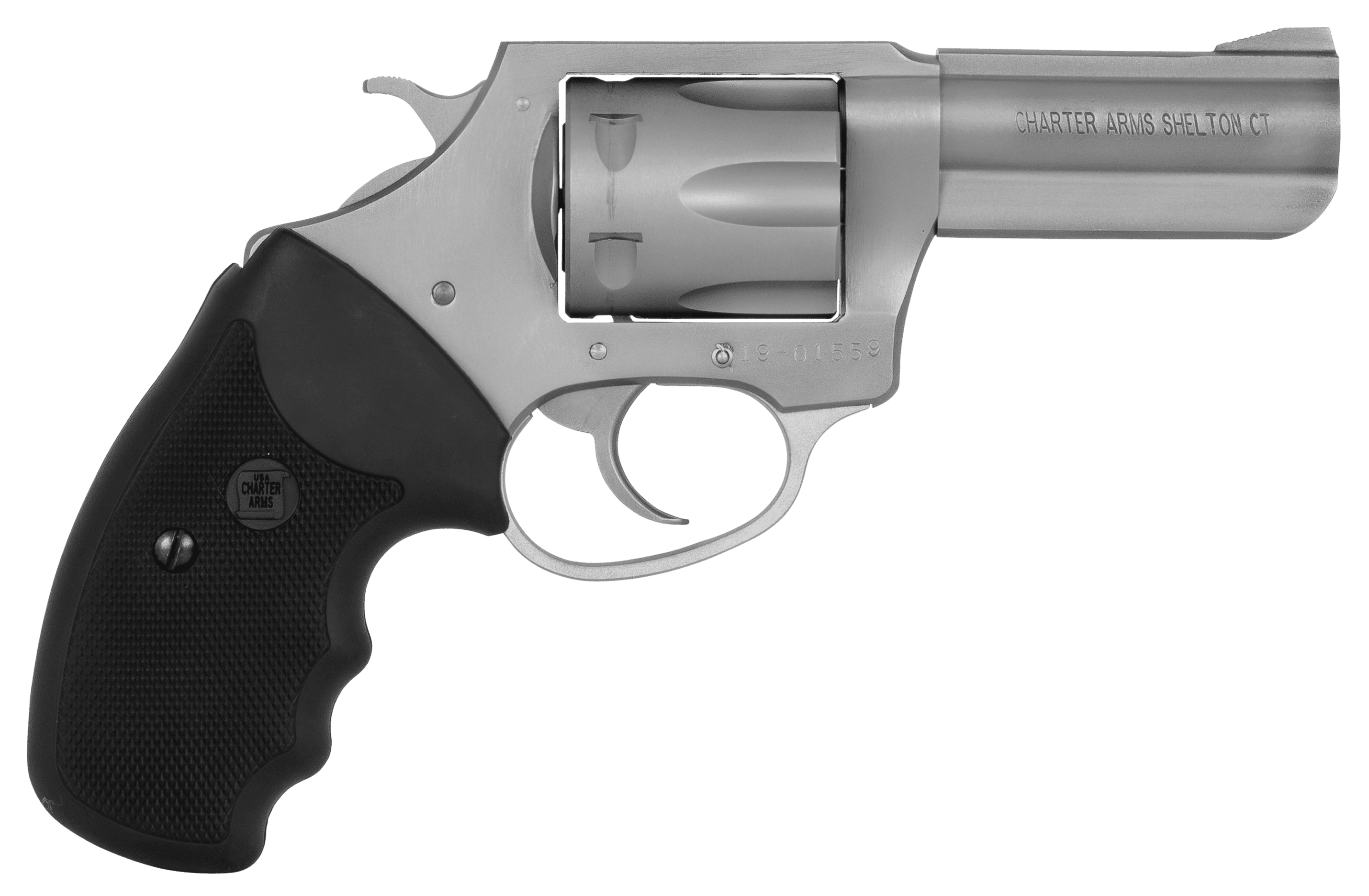 Charter Arms Pit Bull 380 ACP 3 in. 6 Shot Stainless Steel Silver