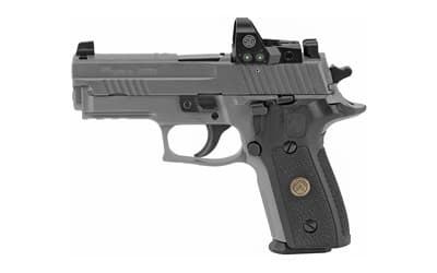 Sig Sauer P229 Legion Rxp 9mm Luger 3.90 inch 15+1 Legion Gray Cerakote G10