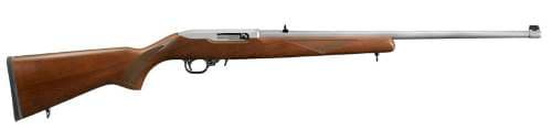 Ruger 10/22 Stainless .22LR 18.5" 10 Rounds Stainless