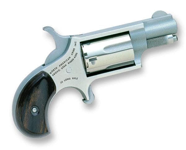 NAA 22LR 1 1/8 SS W/L-RN