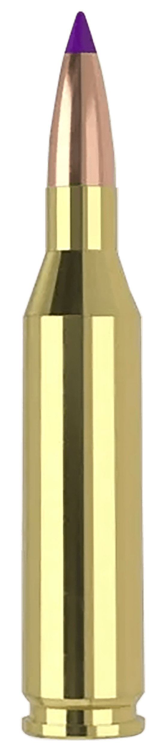 Nosler Ballistic Tip 243 Winchester Soft Point 70 Grain 20 Rounds