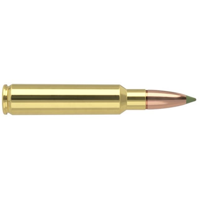 Nosler Expansion Tip 33 Nosler E Tip Soft Point 225 Grain 20 Rounds