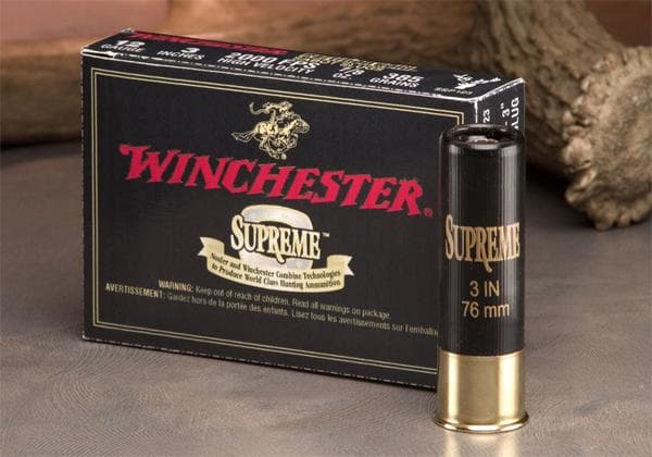 Winchester Partition Gold 20 Gauge Sabot Slug 260 Grain 5 Rounds