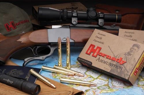 Hornady Dangerous Game 9.3x74R Soft Point Round Nose 286 Grain 20 Rounds
