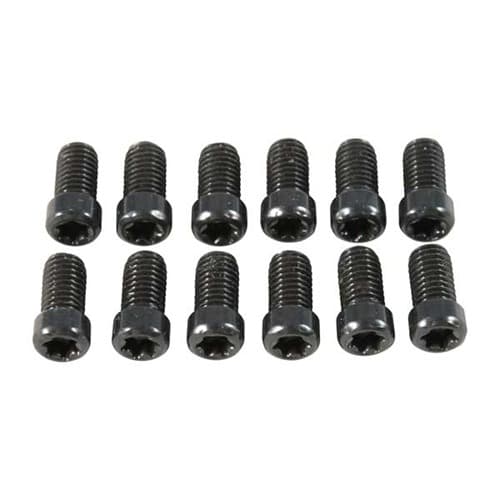 TORX HEAD RING SCREWS 8-40 THREAD .280'' LENGTH BLUE