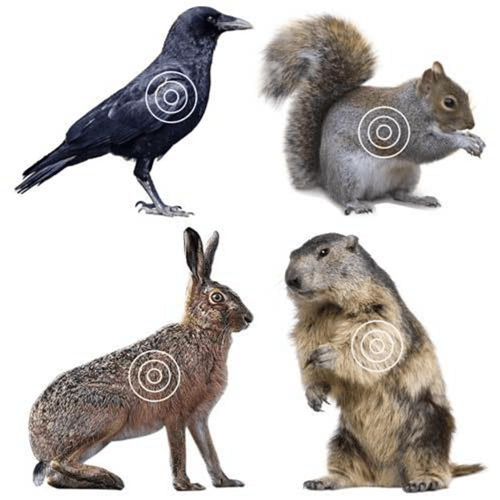Lym Varmint Target Roll 