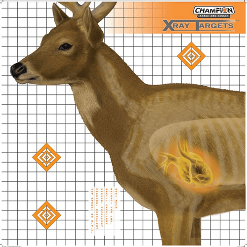 Champ Target Xray Deer 25x25