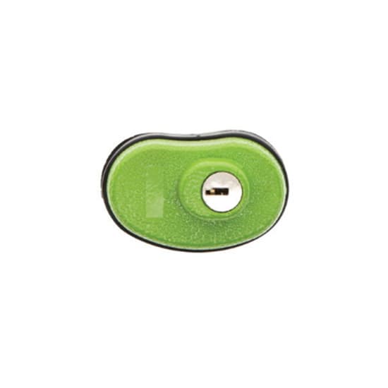 Lockdown Keyed Trigger Lock