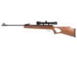 Blue Line Solutions 25003205 Diana Two-Fifty 5.5mm .22 Cal 24 Joule w/Gas Spring Set