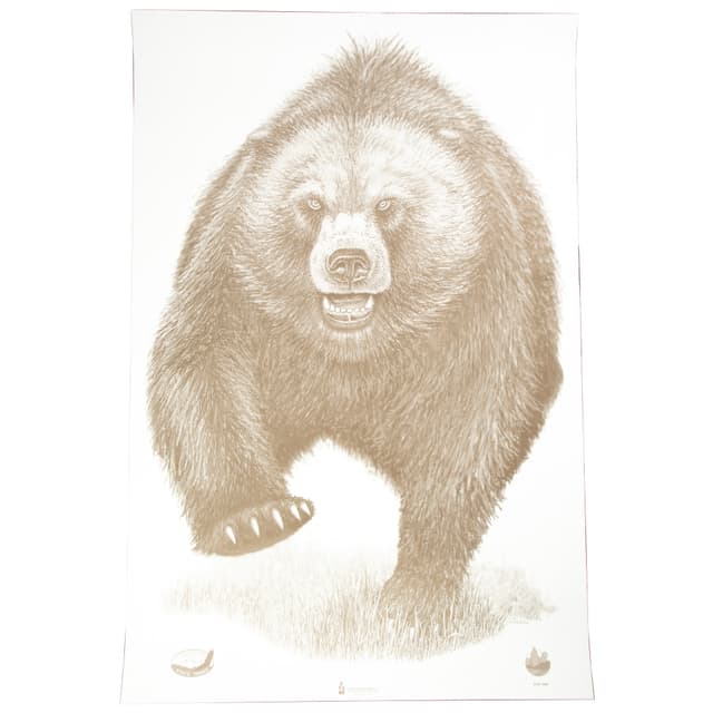 ACTION TGT AK STATE PARK BEAR 100PK
