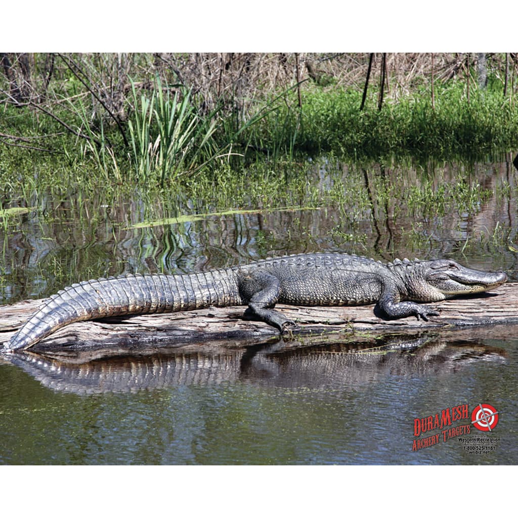 DuraMesh Archery Target Alligator 25 in. x 32 in.