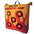 Big Shot Ballistic 450X Bag Target