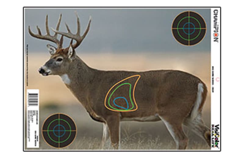Cham Visicolor Real Life Deer
