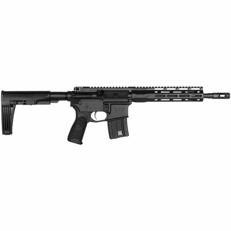 Wilson Combat Protector Pistol 300 HAM'R 11.3 Inch 30 Rounds Black Finish