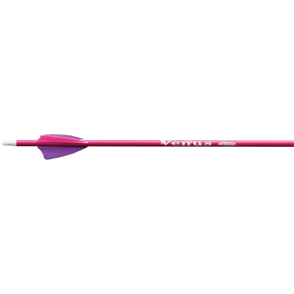 Victory Ares Youth Arrows Blue/Green 72 pk.