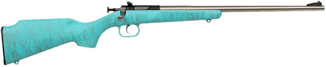 Crickett KSA2446 Gen2 Youth 22 LR 1rd 16.13" Stainless Single Shot Barrel, Stainless Steel Receiver, Blue w/Gold Webbing Fixed Synthetic Stock