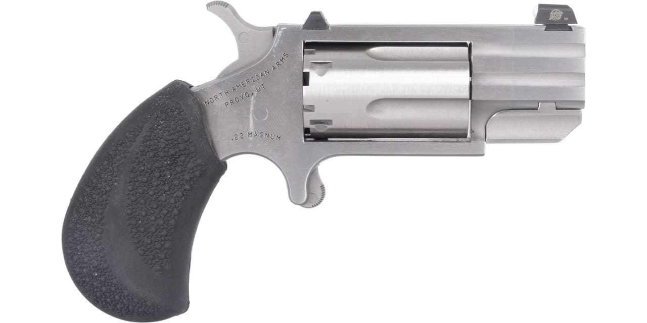NAA Pug Revolver 22 WMR Stainless/Black Rubber 1 in. 5 rd XS White