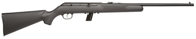 Savage Sav 64F .22 Lr 21 inch 10 rounds Matte Blued Synthetic Sporter