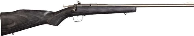 Keystone Sporting Arms Chipmunk 22 Long Rifle 16.13in Stainless Laminate Rifle