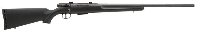 Savage Model 25 Walking Varminter 204 Ruger 22 inch 4 Round Detachable Magazine Matte Finish