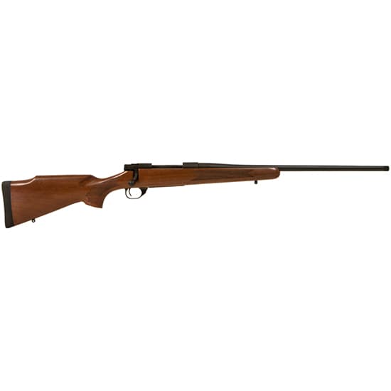 Lsi Howa Mini Action Wal Hunter 223rem 20