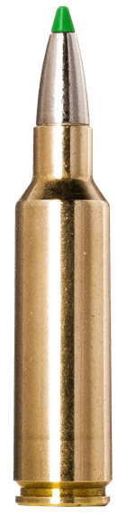 Norma Ammunition 20177512 Ecostrike 300WSM 165gr 20 Rounds