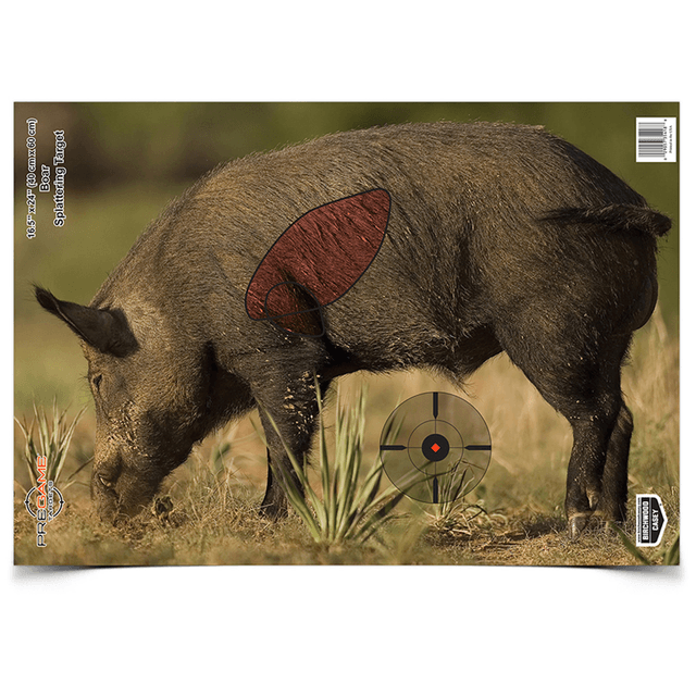 Bc Pregame 16.5x24 Boar Target 3pk