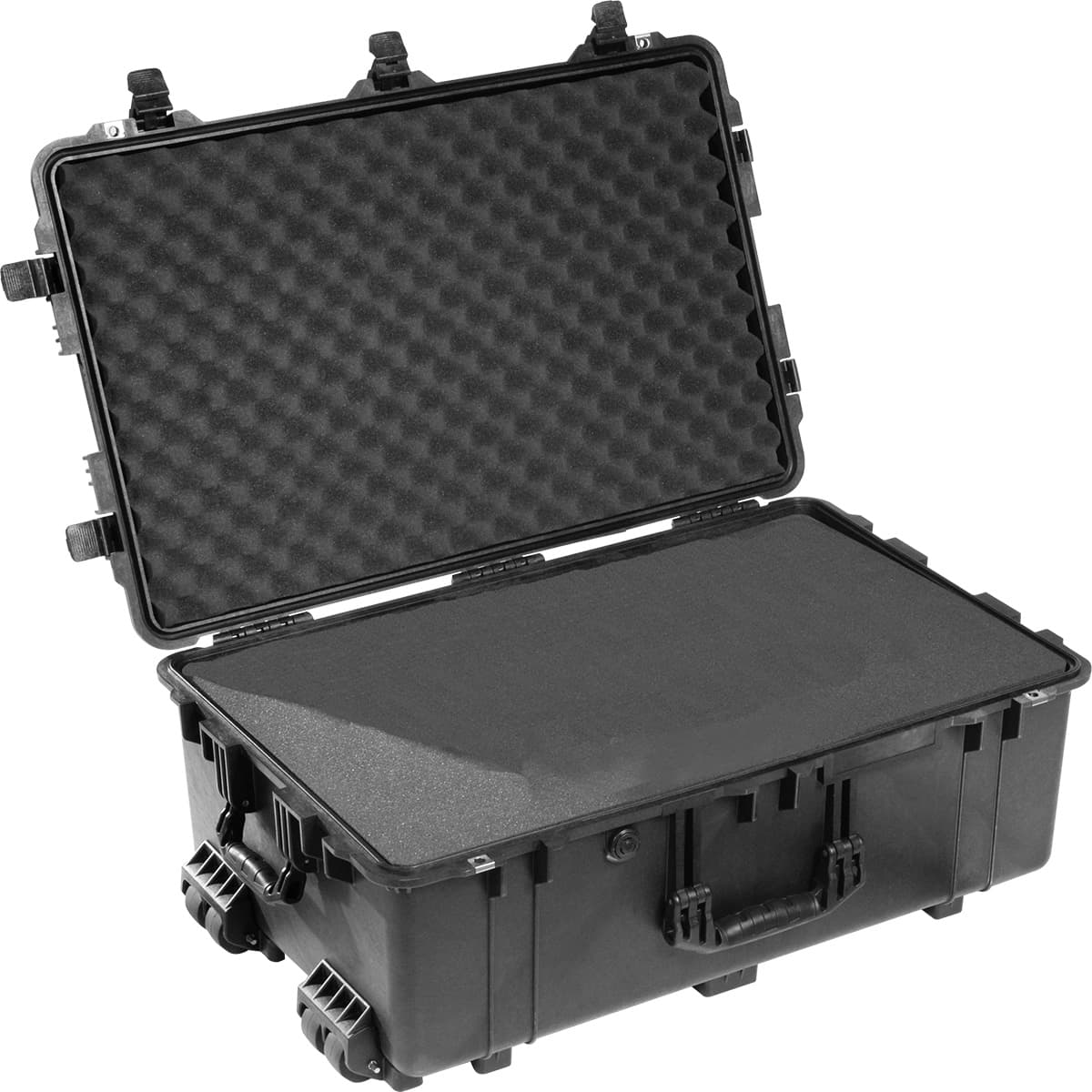 1650 Protector Case - 1650-020-110