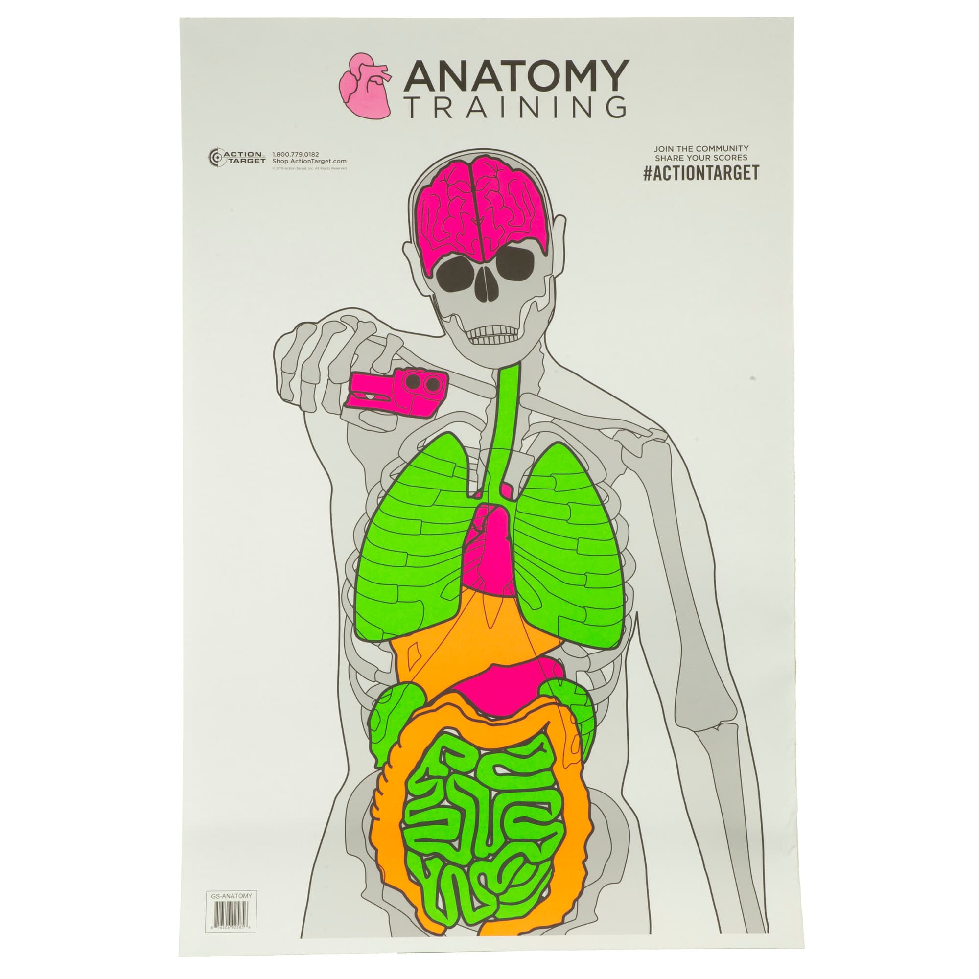 Action Target GSANATOMY100 Entertainment Training Silhouette/Vitals Paper Target 23" x 35" 100 Per Box