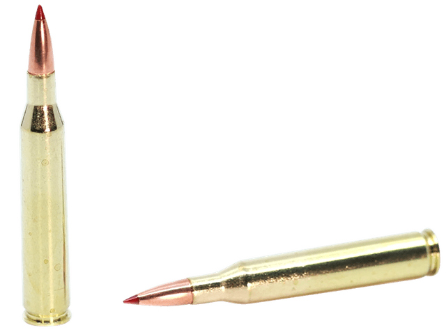 Hornady Superformance 25-06 Remington CX 90 Grain 20 Rounds
