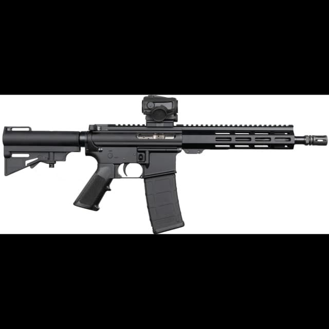 DPMS Shortacle 300 BLK 10.5" 30rd Vortex SPARC Pistol