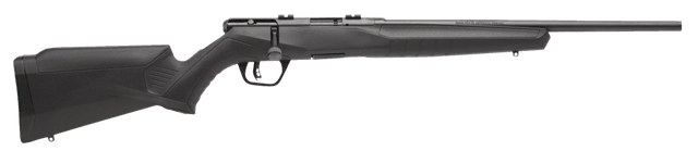 Savage Arms B17 F Compact 17 HMR 18 Inch 10 Rounds Synthetic