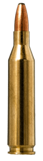 Norma Ammunition 20160332 Oryx 243Win 100gr 20 Rounds