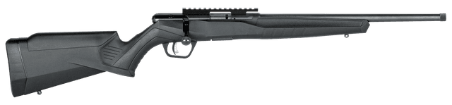 Savage, B17 FV-SR, 17 Hornady Magnum Rimfire, 16.25 inch, 10 round, Blued/Black finish
